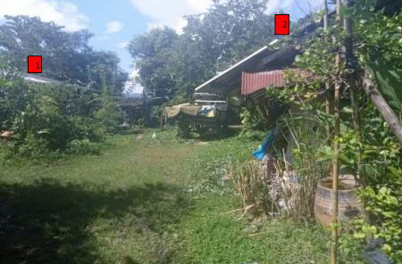 รูปที่ดินพร้อมสิ่งปลูกสร้าง ป่าแดด แม่สรวย เชียงราย