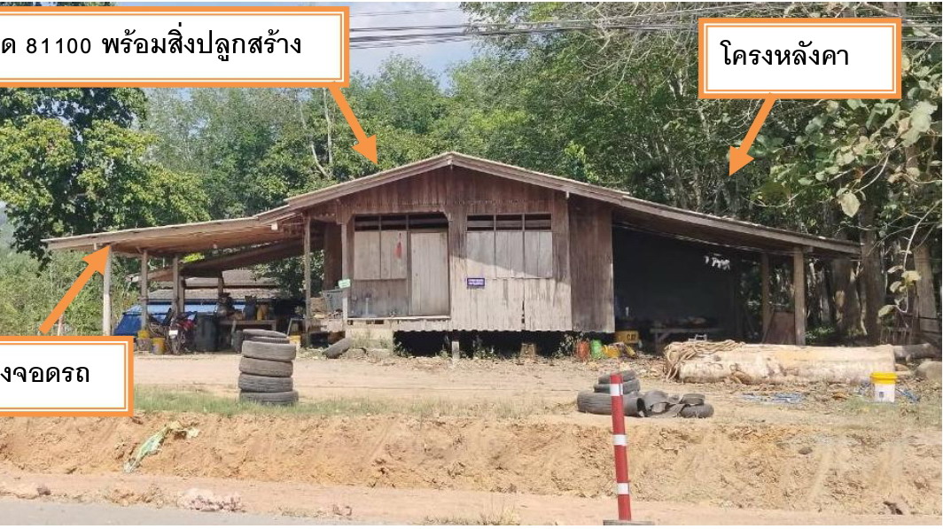 รูปที่ดินพร้อมสิ่งปลูกสร้าง เขาขาว ทุ่งสง นครศรีธรรมราช