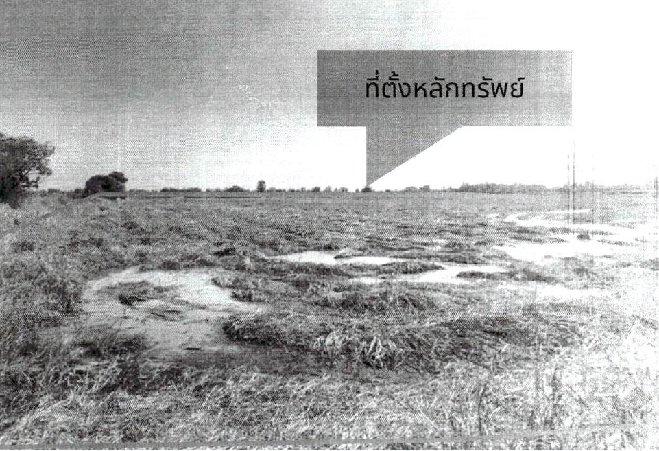 รูปที่ดินว่างเปล่า กุดตุ้ม เมืองชัยภูมิ ชัยภูมิ