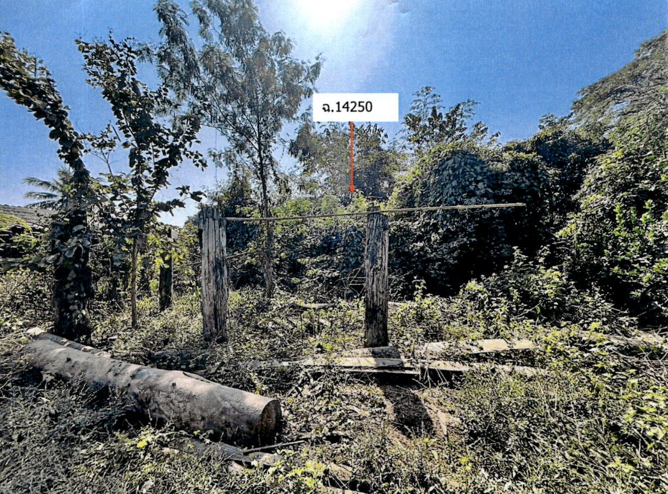 รูปที่ดินว่างเปล่า แม่สุก แจ้ห่ม ลำปาง