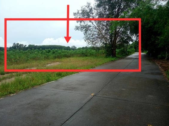 รูปที่ดินว่างเปล่า เพ เมืองระยอง ระยอง