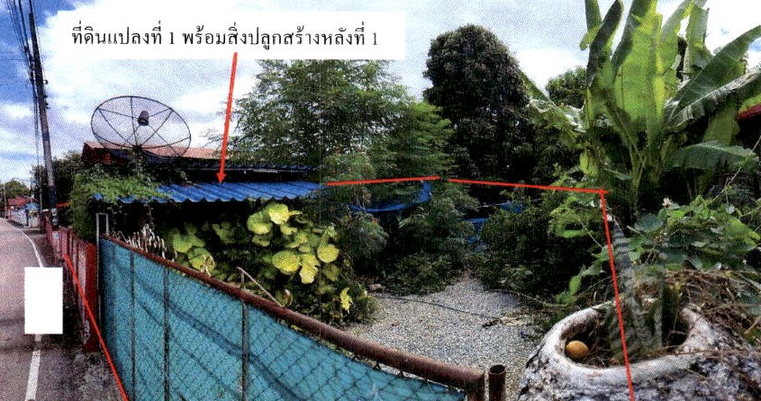 รูปที่ดินพร้อมสิ่งปลูกสร้าง หนองม่วงไข่ หนองม่วงไข่ แพร่