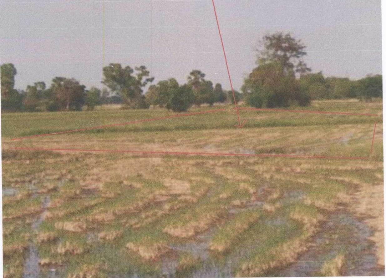 รูปที่ดินว่างเปล่า หนองจิก หนองแค สระบุรี