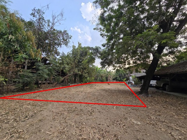รูปที่ดินว่างเปล่า หนองหิน เมืองยโสธร ยโสธร