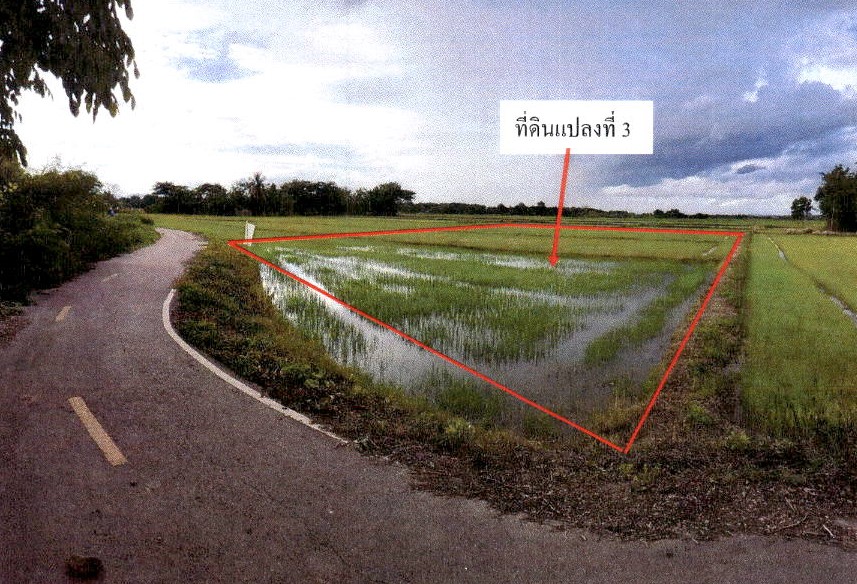รูปที่ดินว่างเปล่า หนองม่วงไข่ หนองม่วงไข่ แพร่