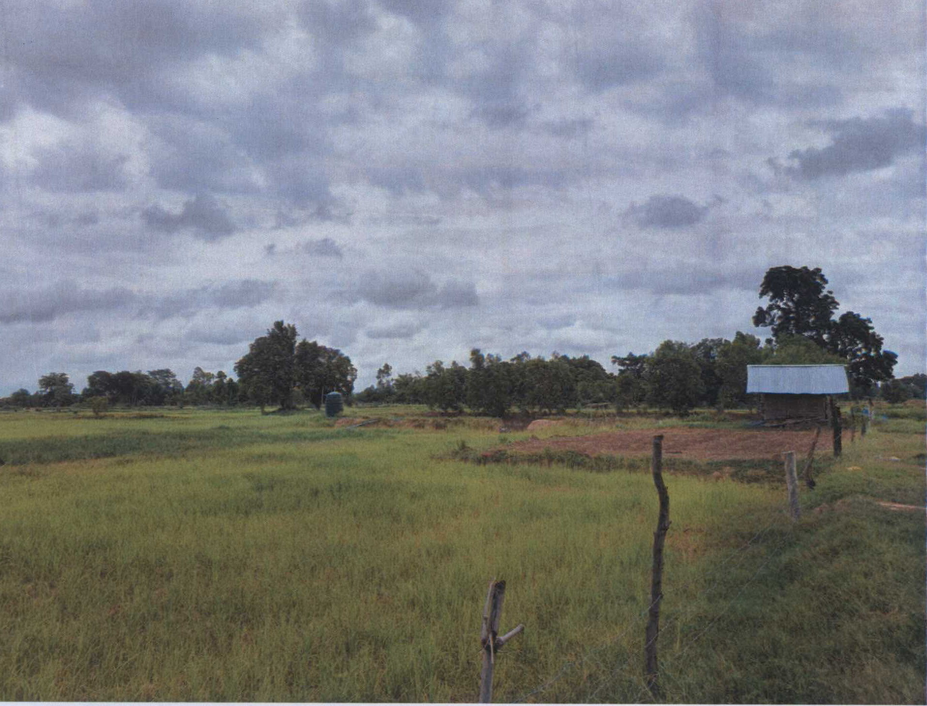 รูปที่ดินว่างเปล่า สระบัว ปทุมรัตต์ ร้อยเอ็ด