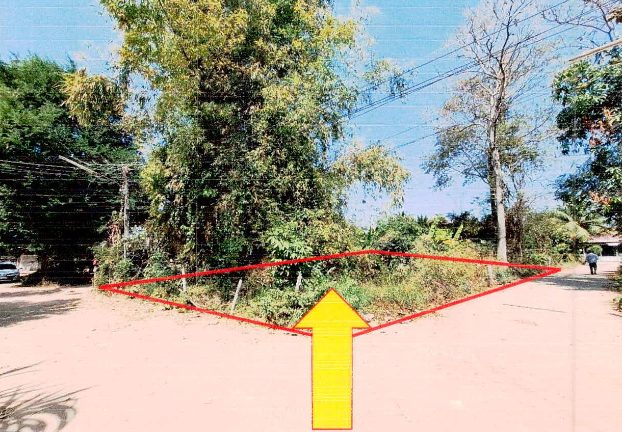 รูปที่ดินว่างเปล่า ตำแย พยุห์ ศรีสะเกษ