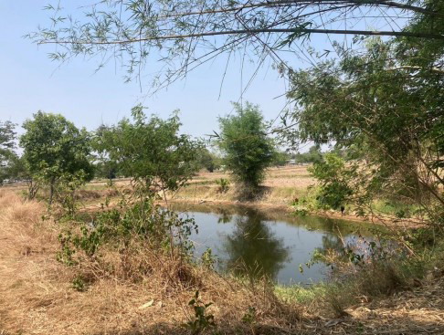 รูปที่ดินว่างเปล่า แวงน่าง เมืองมหาสารคาม มหาสารคาม