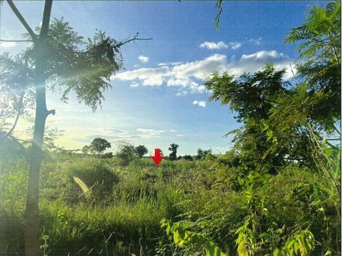 รูปที่ดินว่างเปล่า นาคำ บ้านดุง อุดรธานี