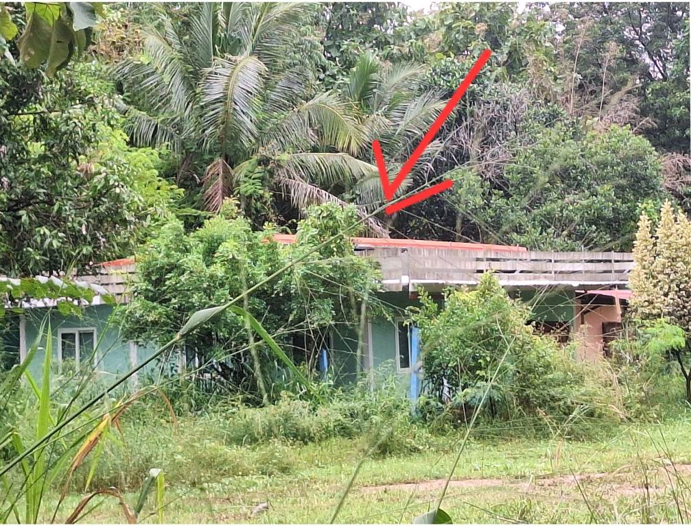 รูปที่ดินพร้อมสิ่งปลูกสร้าง บ้านเล่า เมืองชัยภูมิ ชัยภูมิ