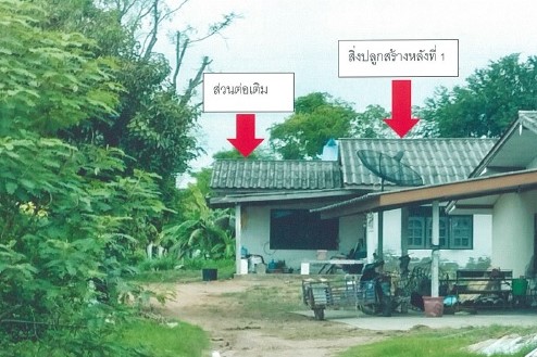 รูปที่ดินพร้อมสิ่งปลูกสร้าง หายโศก พุทไธสง บุรีรัมย์