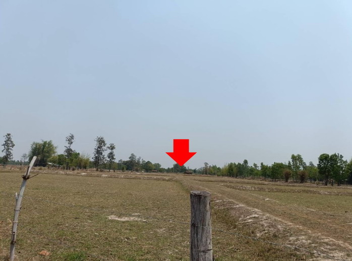 รูปที่ดินว่างเปล่า โนนกุง ตระการพืชผล อุบลราชธานี