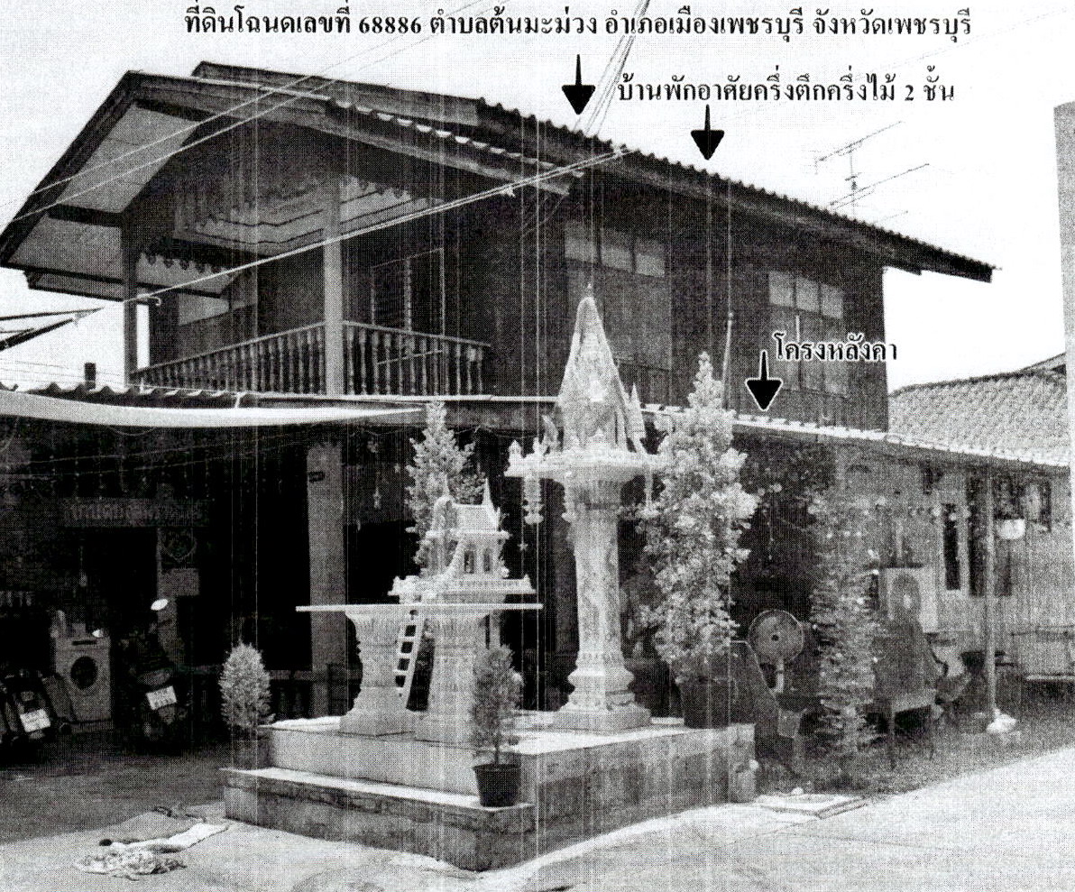 รูปที่ดินพร้อมสิ่งปลูกสร้าง ต้นมะม่วง เมืองเพชรบุรี เพชรบุรี