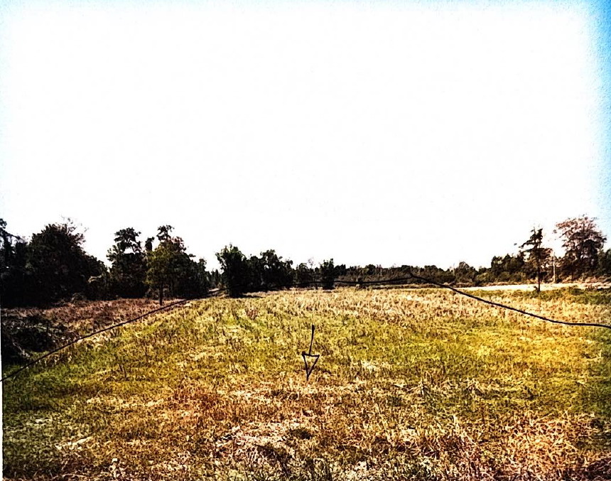 รูปที่ดินว่างเปล่า บางแพ บางแพ ราชบุรี