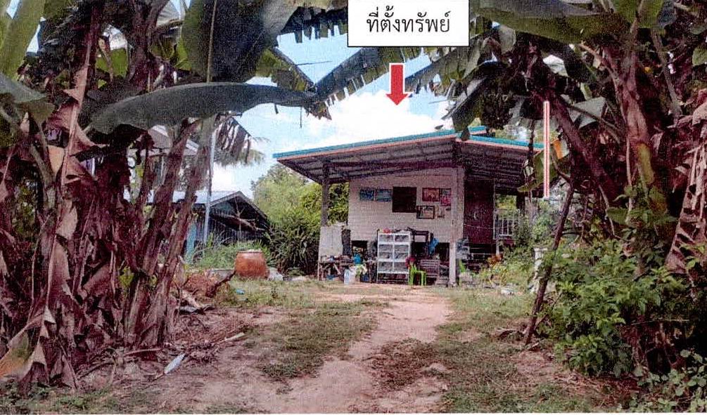 รูปที่ดินพร้อมสิ่งปลูกสร้าง ราม เมืองสุรินทร์ สุรินทร์