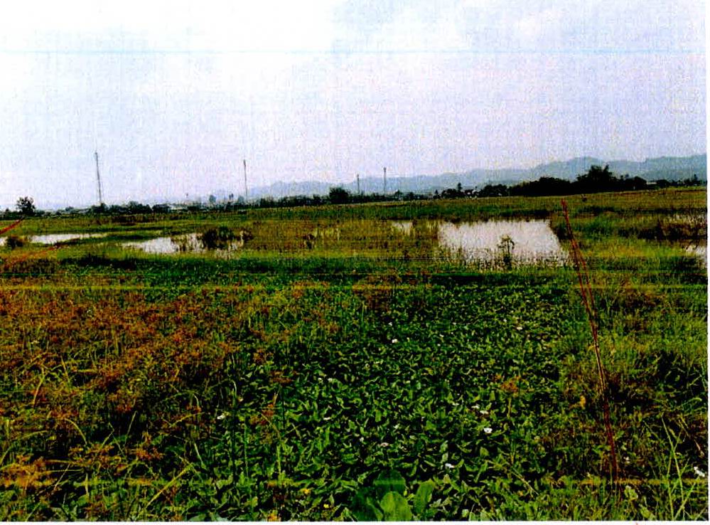 รูปที่ดินว่างเปล่า แจ้ห่ม แจ้ห่ม ลำปาง