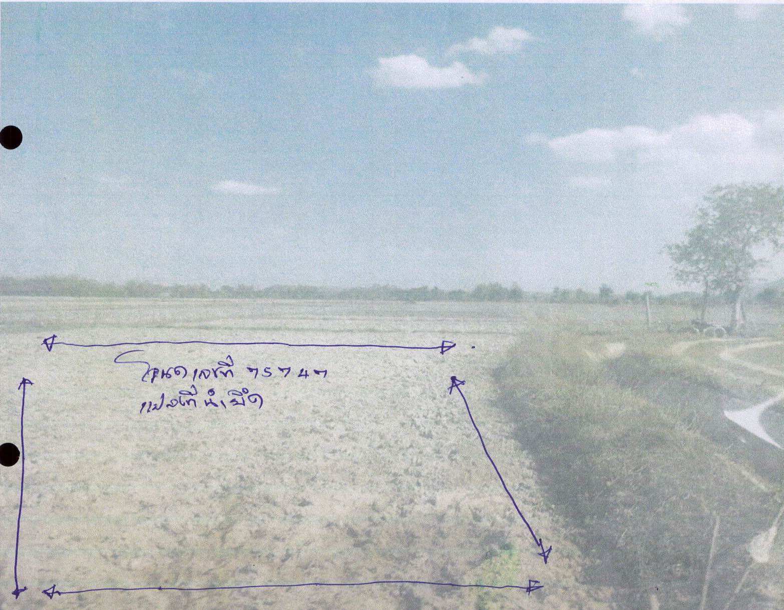 รูปที่ดินว่างเปล่า แม่อ้อ พาน เชียงราย