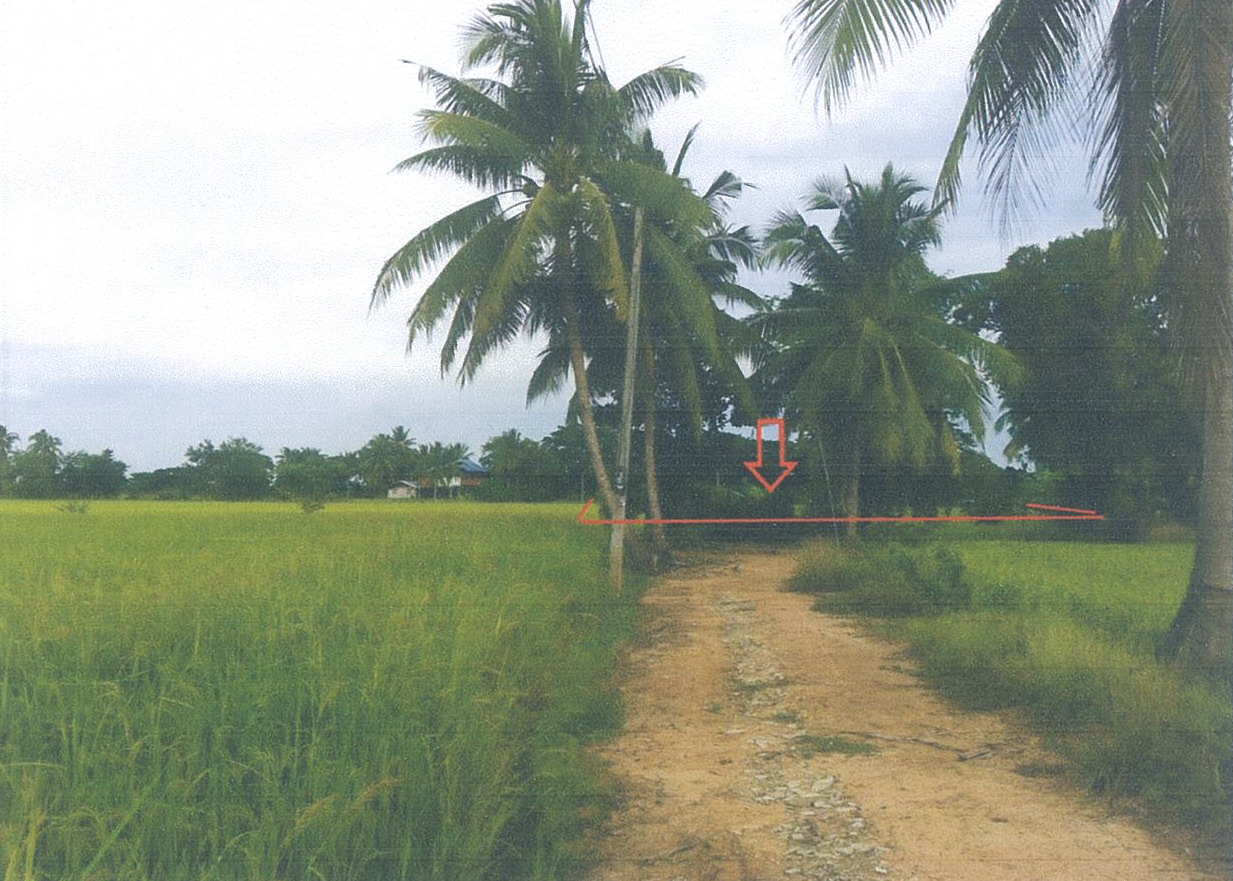 รูปที่ดินว่างเปล่า บางคลาน โพทะเล พิจิตร