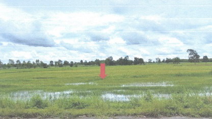 รูปที่ดินว่างเปล่า สว่างแดนดิน สว่างแดนดิน สกลนคร