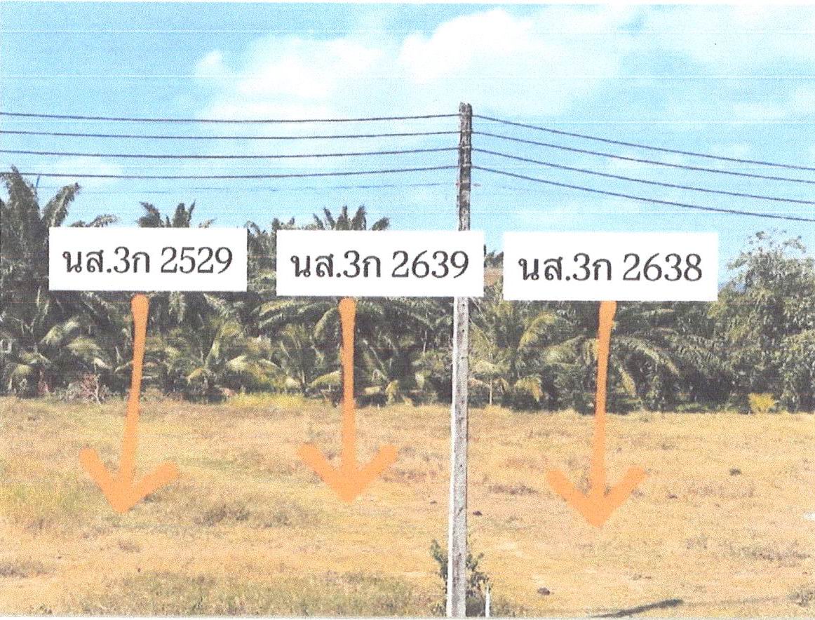 รูปที่ดินว่างเปล่า คลองยาง เกาะลันตา กระบี่