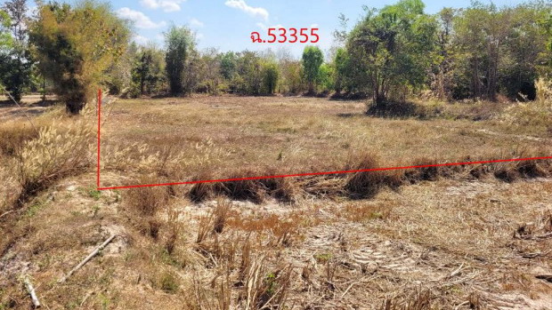 รูปที่ดินว่างเปล่า สะพือ ตระการพืชผล อุบลราชธานี