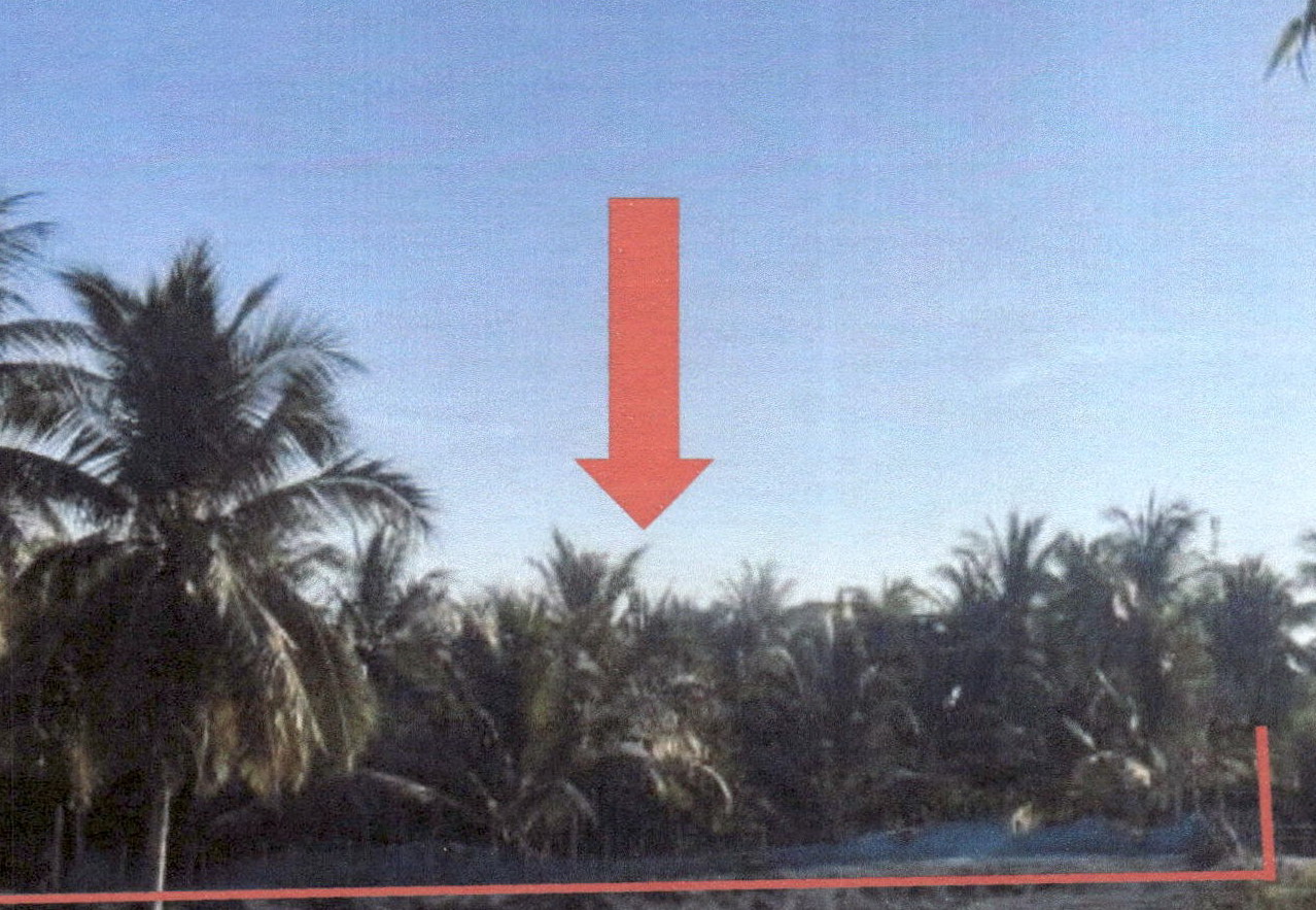 รูปที่ดินว่างเปล่า แหลมโพธิ์ ยะหริ่ง ปัตตานี