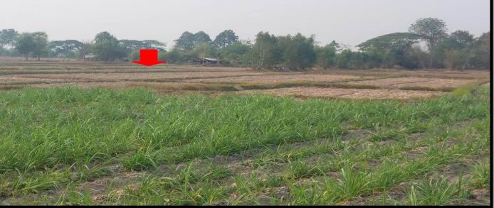 รูปที่ดินว่างเปล่า บงเหนือ สว่างแดนดิน สกลนคร