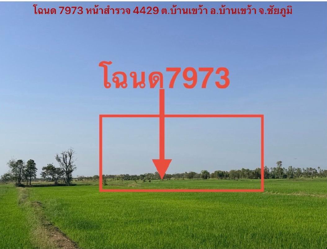 รูปที่ดินว่างเปล่า บ้านเขว้า บ้านเขว้า ชัยภูมิ