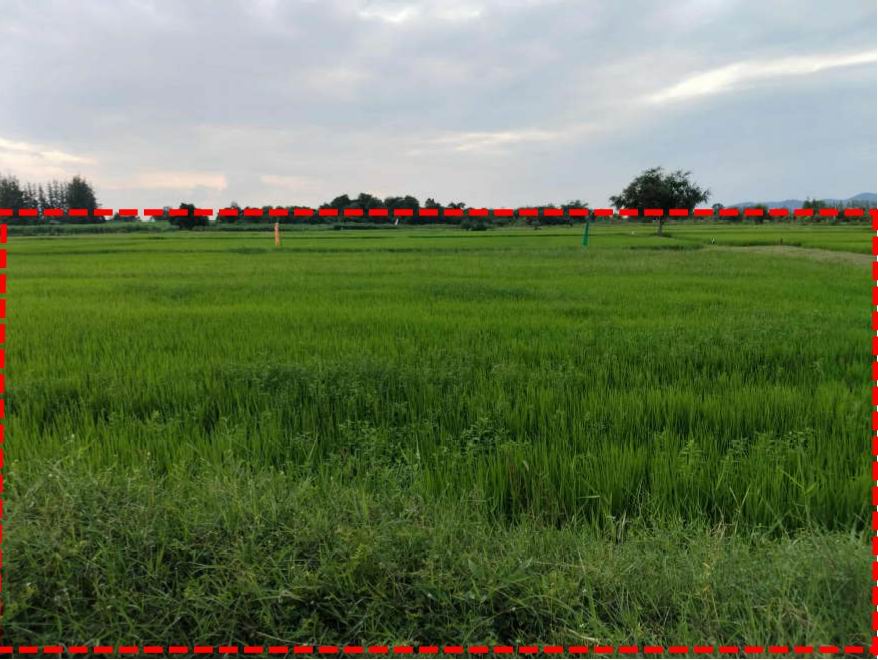 รูปที่ดินว่างเปล่า เขาขลุง บ้านโป่ง ราชบุรี