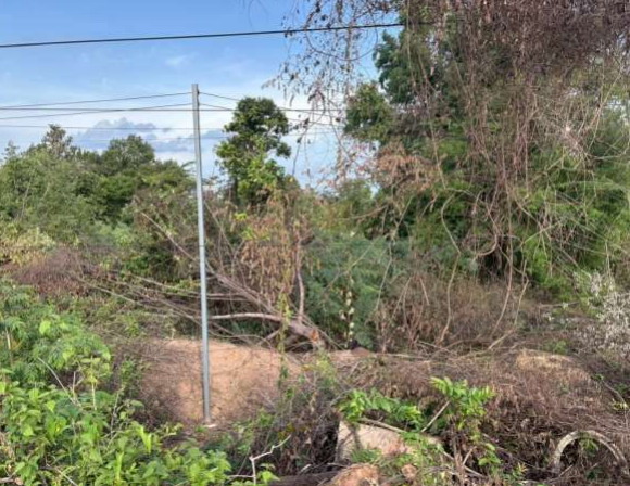 รูปที่ดินว่างเปล่า คอนสาย ตระการพืชผล อุบลราชธานี