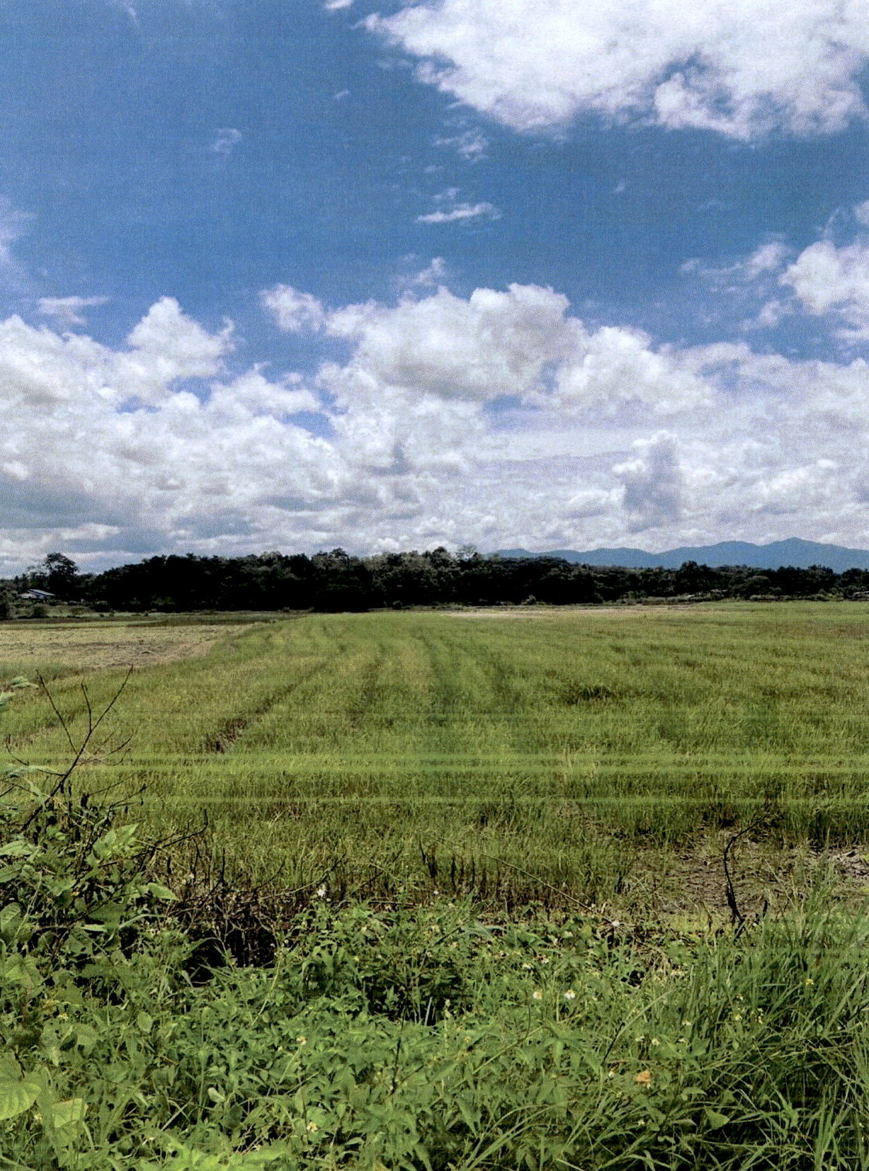 รูปที่ดินว่างเปล่า บ้านเป้า เมืองลำปาง ลำปาง