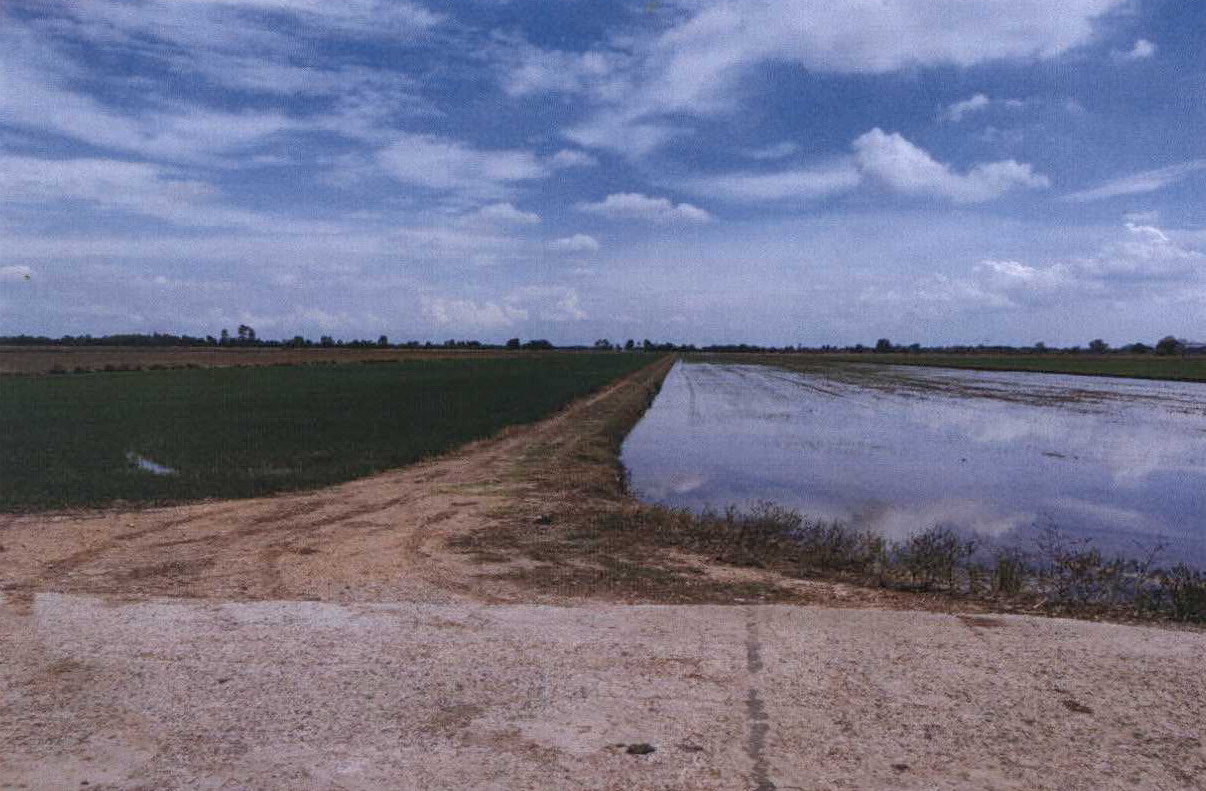 รูปที่ดินว่างเปล่า ดงน้อย (ดงน้อยใต้) ราชสาส์น(พนมสารคาม) ฉะเชิงเทรา
