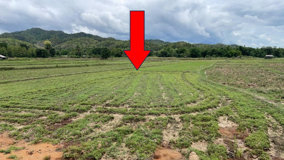 รูปที่ดินว่างเปล่า แม่ทา แม่ออน เชียงใหม่