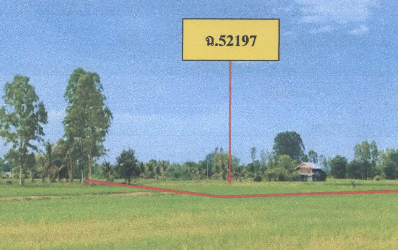 รูปที่ดินว่างเปล่า โรงช้าง เมืองพิจิตร พิจิตร