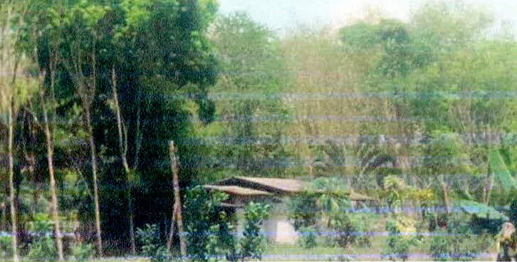 รูปที่ดินพร้อมสิ่งปลูกสร้าง ท่าเรือ บ้านนาเดิม สุราษฎร์ธานี