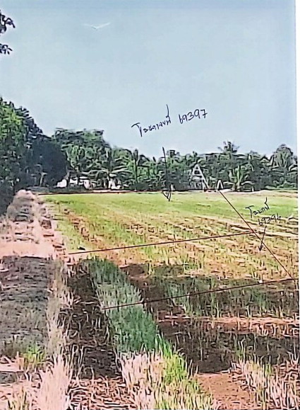 รูปที่ดินว่างเปล่า คลองนครเนื่องเขต เมืองฉะเชิงเทรา ฉะเชิงเทรา