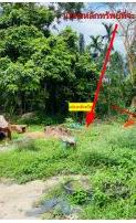 รูปที่ดินว่างเปล่า ทุ่งใส สิชล นครศรีธรรมราช