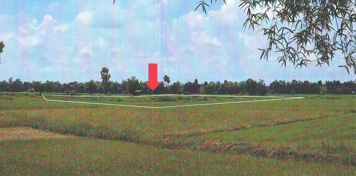 รูปที่ดินว่างเปล่า ดงชน เมืองสกลนคร สกลนคร