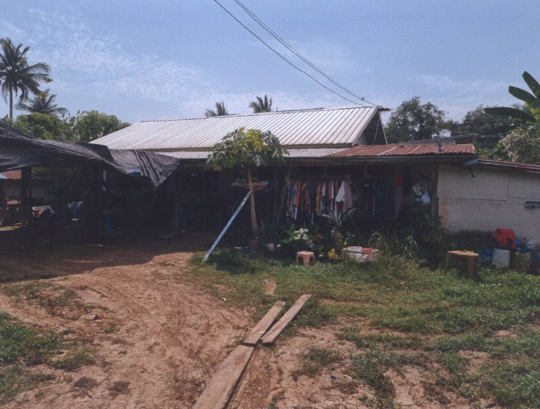 รูปที่ดินพร้อมสิ่งปลูกสร้าง สายคำโห้ เมืองพิจิตร พิจิตร