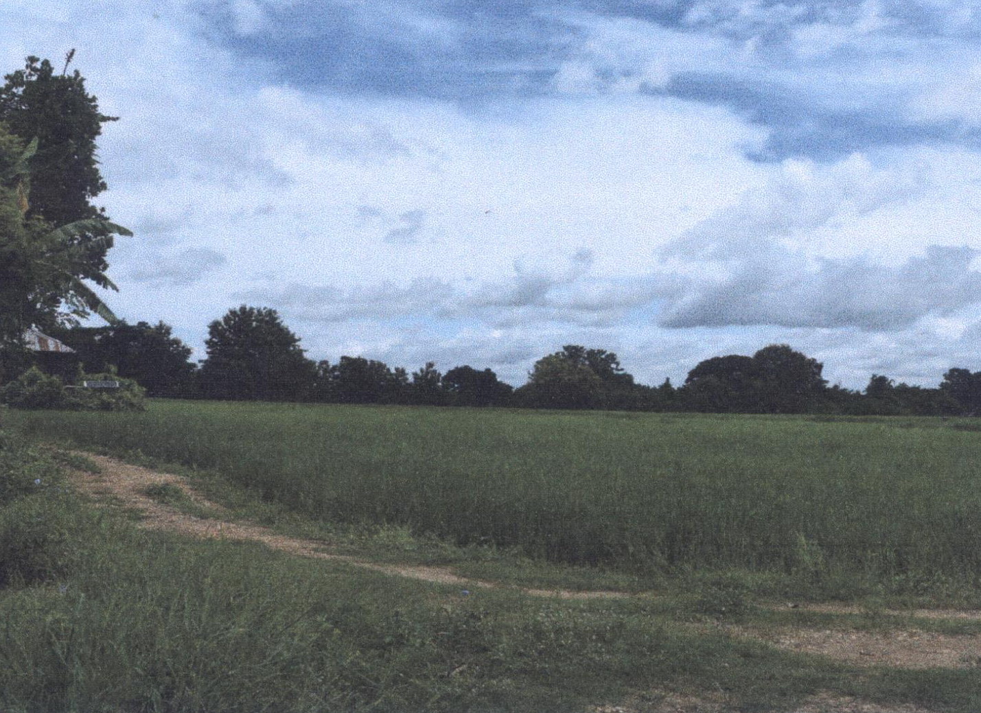 รูปที่ดินว่างเปล่า ทุ่งกวาว เมืองแพร่ แพร่
