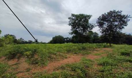 รูปที่ดินว่างเปล่า กระโสบ เมืองอุบลราชธานี อุบลราชธานี