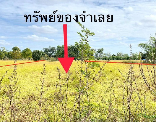 รูปที่ดินว่างเปล่า ชุมพวง ชุมพวง นครราชสีมา