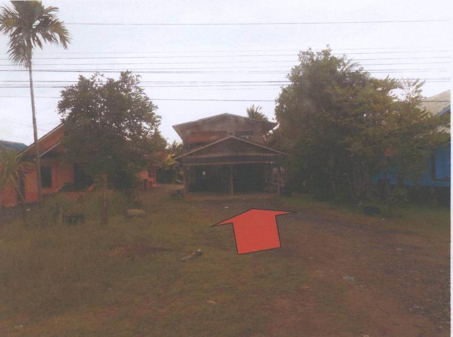 รูปที่ดินพร้อมสิ่งปลูกสร้าง เกาะเพชร หัวไทร นครศรีธรรมราช
