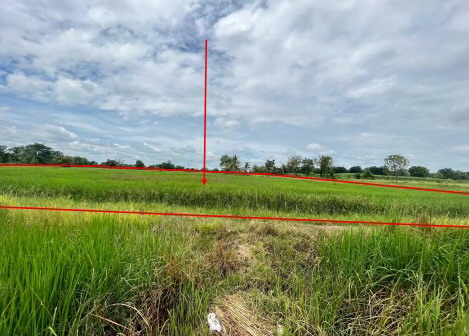 รูปที่ดินว่างเปล่า คูขาด คง นครราชสีมา