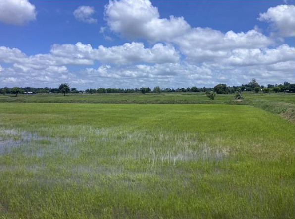 รูปที่ดินว่างเปล่า ดอนงัว บรบือ มหาสารคาม