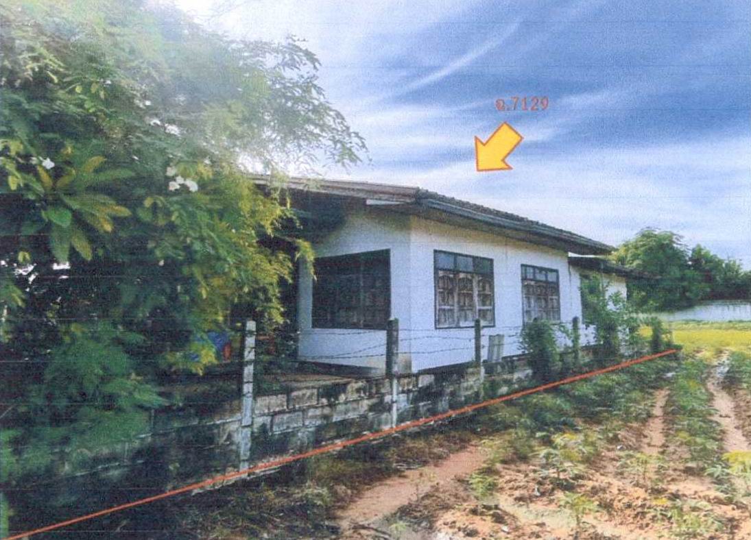 รูปที่ดินพร้อมสิ่งปลูกสร้าง หูทำนบ ปะคำ บุรีรัมย์