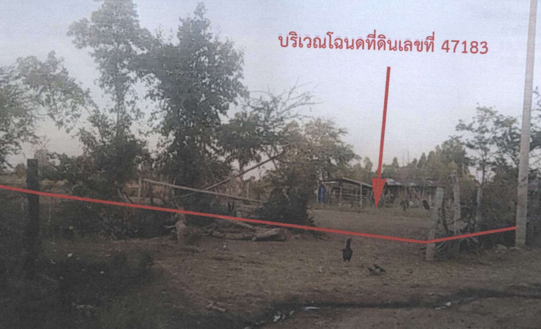 รูปที่ดินว่างเปล่า เสมาใหญ่ บัวใหญ่ นครราชสีมา