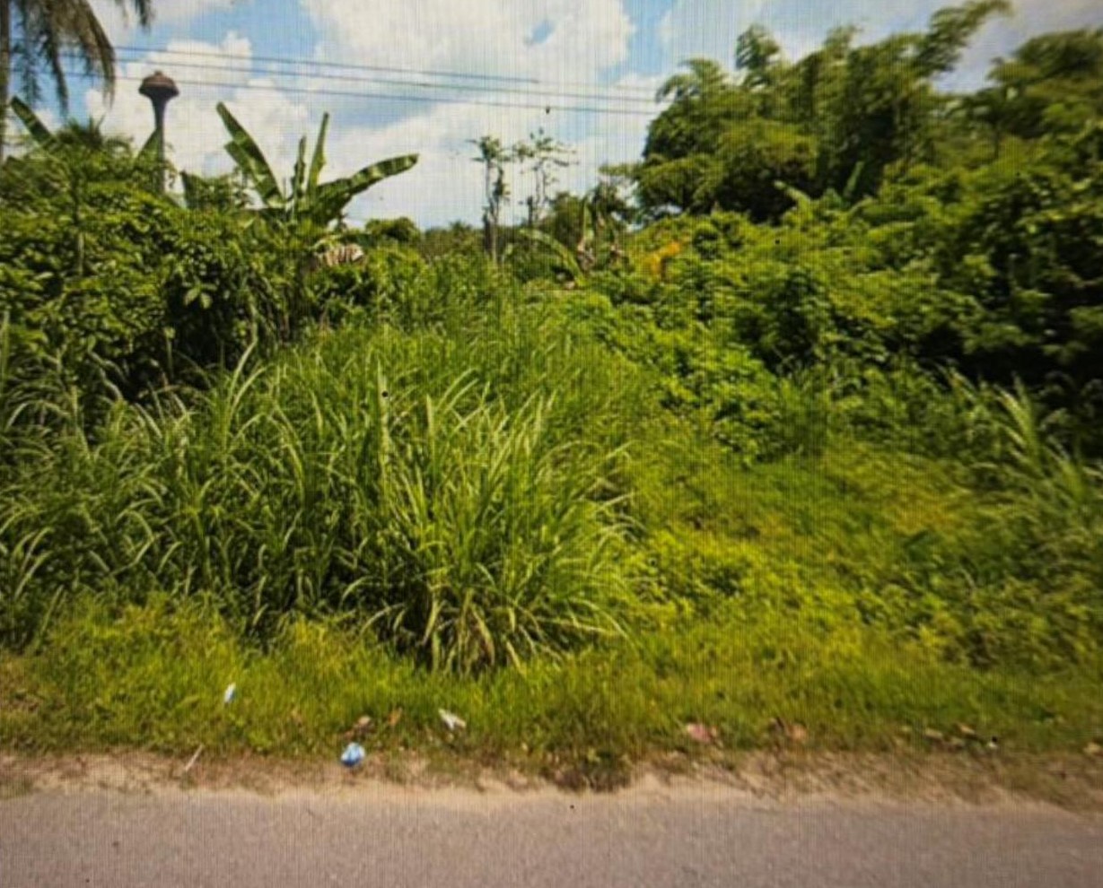 รูปที่ดินว่างเปล่า ดาโต๊ะ หนองจิก ปัตตานี