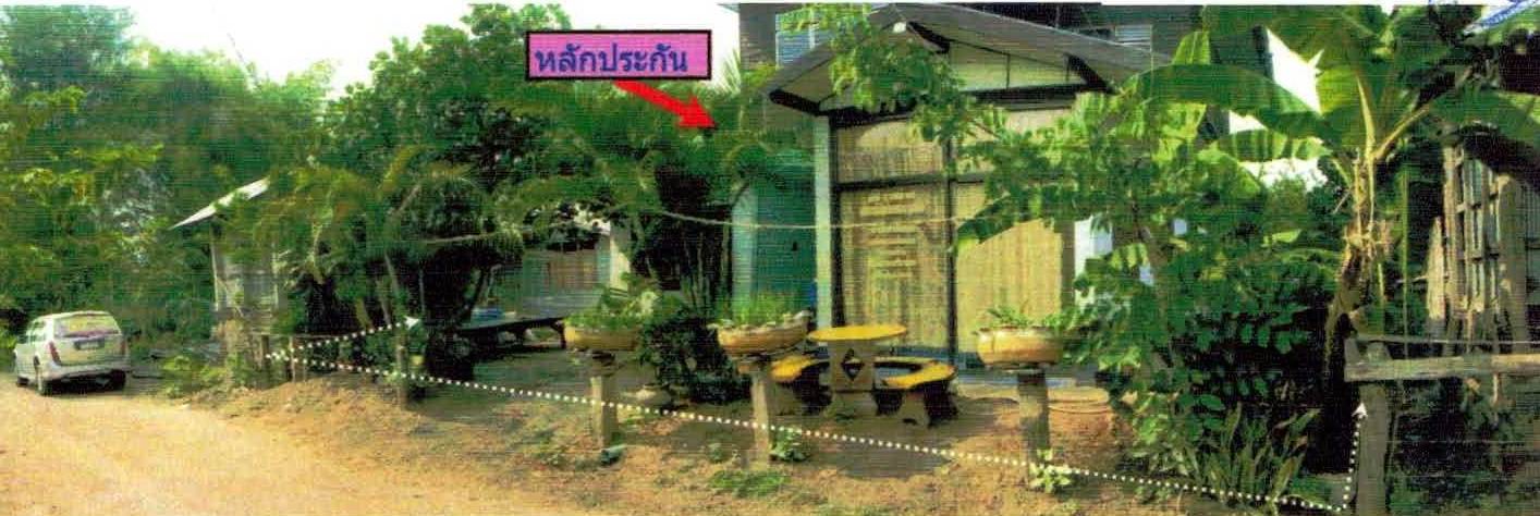 รูปที่ดินพร้อมสิ่งปลูกสร้าง ป่าไม้งาม เมืองหนองบัวลำภู หนองบัวลำภู