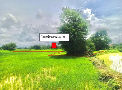 รูปที่ดินว่างเปล่า ดอนนางหงส์ ธาตุพนม นครพนม